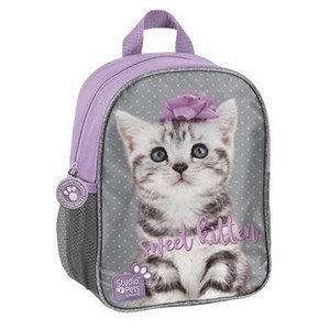 Obrazek Plecak przedszkolny Studio Pets PTC-303 PASO