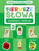 Pierwsze s... - Opracowanie Zbiorowe -  Polish Bookstore 