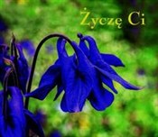 Książka : Ziarenka 5... - Rafał Olchawski