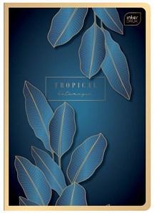 Picture of Zeszyt A5/60K kratka Metallic (10szt)