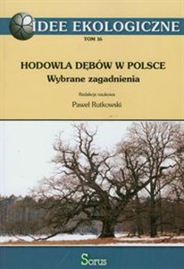 Picture of Hodowla dębów w Polsce Wybrane zagadnienia