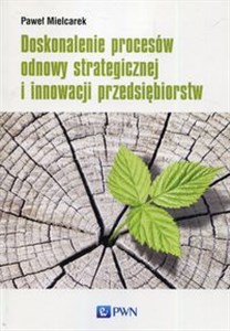 Picture of Doskonalenie procesów odnowy strategicznej i innowacji przedsiębiorstw