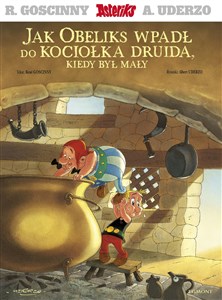 Obrazek Asteriks. Jak Obeliks wpadł do kociołka druida, kiedy był mały
