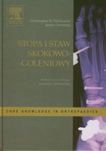 Picture of Stopa i staw skokowo-goleniowy