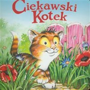 Picture of Ciekawski kotek