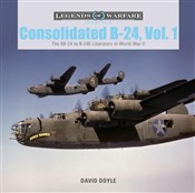 Polska książka : Consolidat... - David Doyle