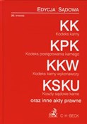 Polska książka : Kodeks kar... - Aneta Flisek