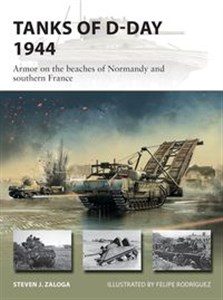 Picture of Tanks of D-Day 1944 Armor on the beaches of Normandy and southern France