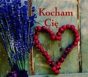 Ziarenka 2... - Rafał Olchawski -  books in polish 