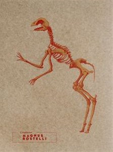 Picture of Notes Magnus Rostelli