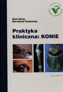 Picture of Praktyka kliniczna Konie