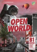 Polska książka : Open World... - Sheila Dignen, Sarah Dymond