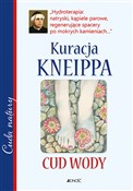 Polska książka : Kuracja Kn... - Opracowanie Zbiorowe