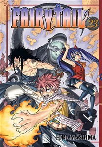 Picture of Fairy Tail. Tom 23