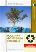 Podstawy g... - Czesława Rosik-Dulewska -  books in polish 