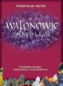 Picture of Walonowie u Ducha Gór Podziemne skarby Karkonoszy i Gór Izerskich