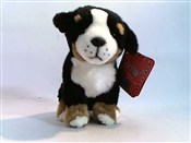 Pies berne... -  Polish Bookstore 