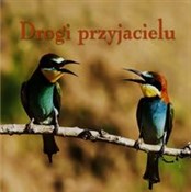Ziarenka 1... - Rafał Olchawski -  books from Poland