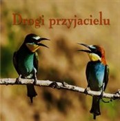 Ziarenka 1... - Rafał Olchawski -  books from Poland