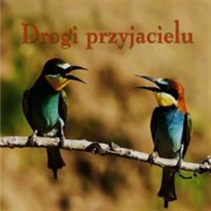 Picture of Ziarenka 10 Drogi przyjacielu