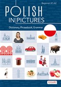 Polish in ... - Paweł Wasilewski -  foreign books in polish 