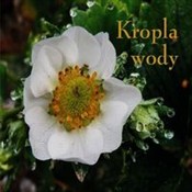 polish book : Ziarenka 1... - Magdalena Beńko