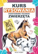 Polska książka : Kurs rysow... - Mateusz Jagielski