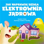 Jak napraw... - Amelia Frahm -  books from Poland