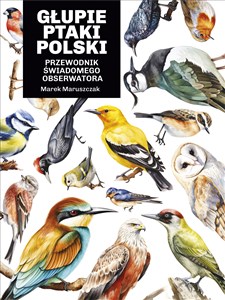 Picture of Głupie ptaki Polski. Przewodnik świadomego obserwatora