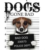 Dogs Gone ... - Jack Russell -  Polish Bookstore 