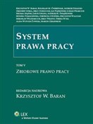 Zobacz : System pra... - Monika Tomaszewska, Zbigniew Góral, Jan Piątkowski, Gertruda Uścińska, M.Bolesław Ćwiertniak, Andrze