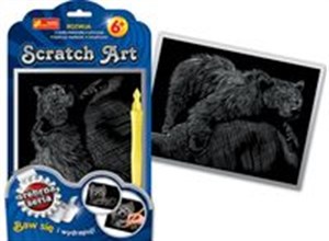 Picture of Scratch Art Niedźwiedź