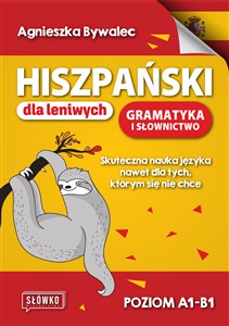 Picture of Hiszpański dla leniwych Gramatyka i słownictwo