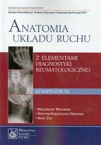 Obrazek Anatomia układu ruchu Kompendium z elementami diagnostyki reumatologicznej