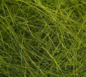 Picture of Sianko Sizal 50g oliwkowy MESIO