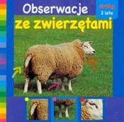 Obserwacje... -  foreign books in polish 