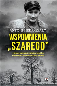 Obrazek Wspomnienia "Szarego"