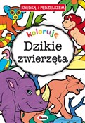 Kredką i p... - Piotr Kozera -  Polish Bookstore 