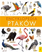 Polska książka : Encykloped... - Paweł Zalewski