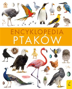 Obrazek Encyklopedia ptaków