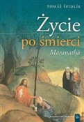 Życie po ś... - Tomas Spidlik -  foreign books in polish 