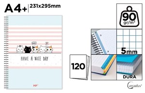 Obrazek Notatnik A4+/120K kołowy kratka kotki