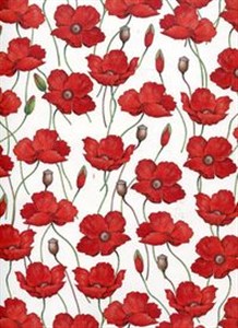 Picture of Teczka na dokumenty FF 583B