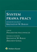 Zobacz : System pra... - Krzysztof Wojciech Baran, Zbigniew Góral