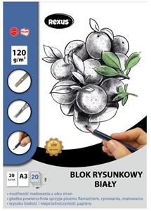 Obrazek Blok rysunkowy A3/20K biały Premium