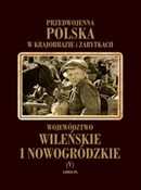 Książka : Województw... - Jerzy Remer, Adam Wisłocki