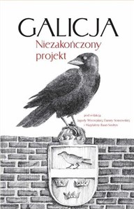 Obrazek Galicja. Niezakończony projekt