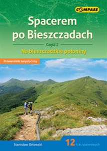 Picture of Spacerem po Bieszczadach Część 2 Na bieszczadzkie połoniny