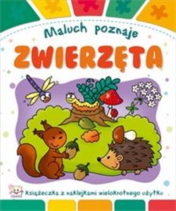 Obrazek Maluch poznaje Zwierzęta Książeczka z naklejkami wielokrotnego użytku