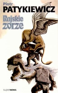 Picture of Rajskie zorze